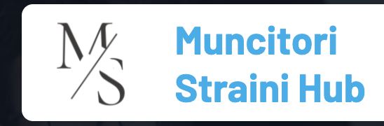 Muncitori străini - blog